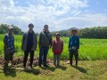 🌾 อบต.แม่ถอด บูรณาการร่วมเกษตรอำเภอเถิน ... Image 1